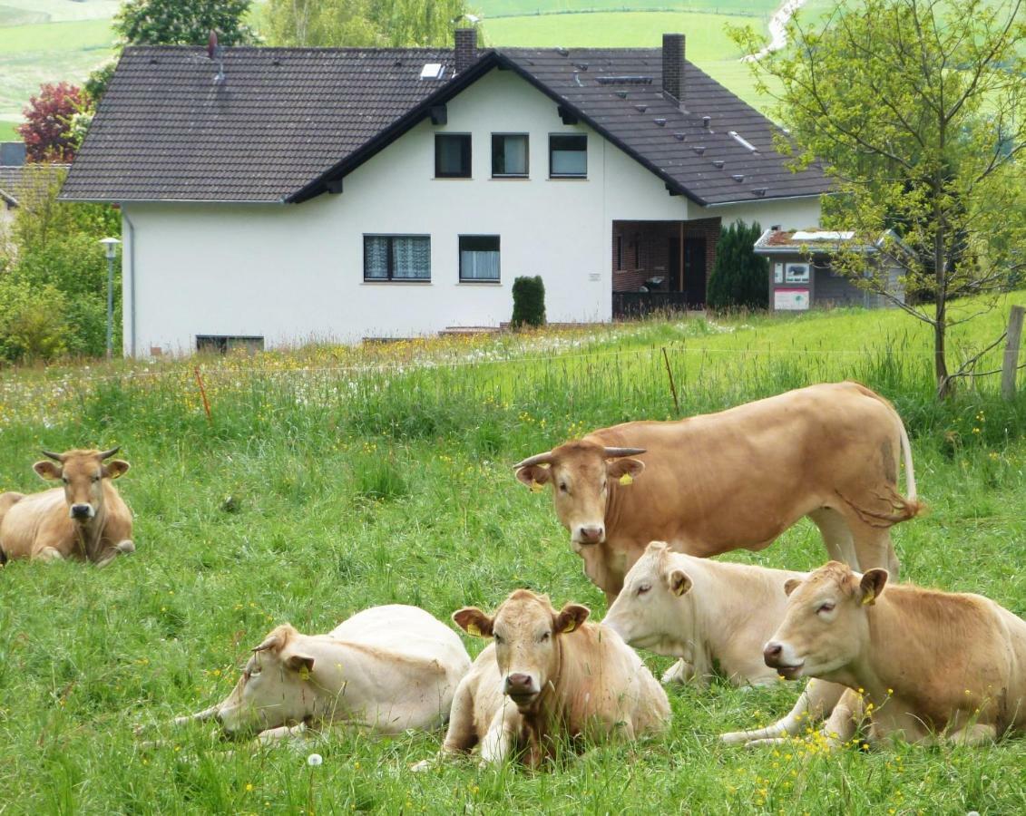Ferienwohnungen Finke Frankenau Экстерьер фото