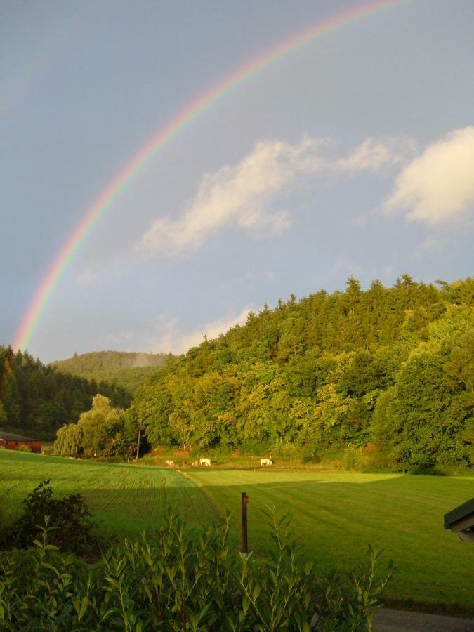 Ferienwohnungen Finke Frankenau Экстерьер фото
